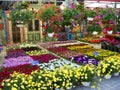 Flower market