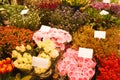 Flower market Royalty Free Stock Photo