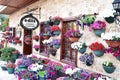 Flower market Royalty Free Stock Photo