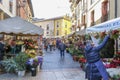 Flower market in Oviedo, Spain.