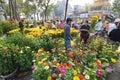 Flower market on Tet Eve, Vietnam