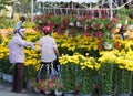 At flower market before Tet (Lunar New Year) Royalty Free Stock Photo