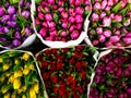 Flower market1 Royalty Free Stock Photo