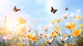 Flower meadow with daisies and butterfly. Nature background Royalty Free Stock Photo