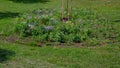 A flower meadow is a term used in horticulture to denote a variegated