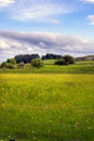 Meadow in Upper Teesdale in springtime