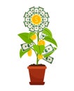 Flower money investment isolated on white background