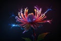 Flower Multicolor neon light drawing, tulip flowers isolated on black background Glowing line artt.