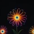 Flower Multicolor neon light drawing, tulip flowers isolated on black background Glowing line artt.