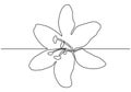 Flower one line drawing minimalism of orchid plant. vector hand drawn minimalism