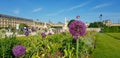 Flower of the onion in the garden in Paris France. Focus on the flower Royalty Free Stock Photo