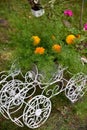 Flower in the original flowerpot stand in a cart with wheels in