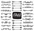 Flower ornament dividers. Ornamental divider and sketch leaves ornaments, decorative arrows, drawn vine borders. Vector Royalty Free Stock Photo