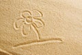 The flower is painted in the sand. Beach background. Top view. The concept of summer, summer kanikkuly, vacation, holydays