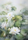 Flower painting nature lotus blossom floral art background Royalty Free Stock Photo