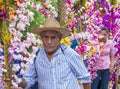 Flower & Palm Festival in Panchimalco, El Salvador