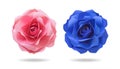 Flower paper on isolated background with clipping path. Origami floral for your design