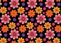 Flower pattern background wallpaper for design layout Royalty Free Stock Photo