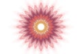 Flower pattern floral kaleidoscope isolated. ceramic ethnic Royalty Free Stock Photo