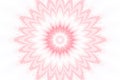 Flower pattern floral pink kaleidoscope. motifs mandala