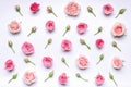 Flower pattern: flowers and rosebuds on a white background. Top view