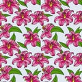 Seamless colorful floral background pattern. Decorative backdrop for fabric, textile, wrapping paper, card, invitation, wallpaper. Royalty Free Stock Photo