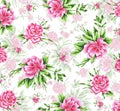 Flower pattern. Pink bouquets peonies. Idea for textiles, prints for clothes and other. Watercolor. Botanical painting. Royalty Free Stock Photo