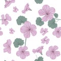 Flower pattern pink Royalty Free Stock Photo