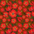 Flower Pattern with poppies