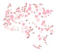 Sakura flower for printing on paper.