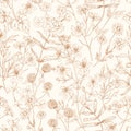 Flower Pattern. Seamless Background With Floral Herbs. Vintage Botanical Monochrome Print With Wild Field And Meadow