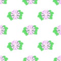 Flower pattern. Seamless floral background with exotic flower Silene Tomentosa.