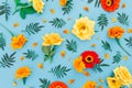 Flower pattern with yellow and red flowers with leaves on blue background. Flat lay, top view. Floral background Royalty Free Stock Photo