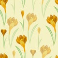 Flower patterns spring yellow crocus