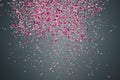 Flower petals on dark background Royalty Free Stock Photo