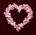 Flower Petals in a heart shape Royalty Free Stock Photo