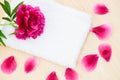 Flower petals spa relax Royalty Free Stock Photo