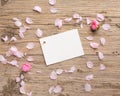 Flower petals tag Royalty Free Stock Photo