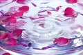 Spa Flowers Petals Water Drop Background Royalty Free Stock Photo