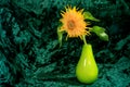 flower picture decorative sunflowers in a vase on a green background. Royalty Free Stock Photo