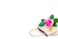 Flower pink rose on the brown paper bag isolated on the white b Royalty Free Stock Photo