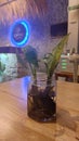 A flower plant in the cafe inside a jar