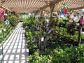 Flower and Plant Display, Botanical Garden Centers, Claremont, California, USA Royalty Free Stock Photo