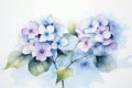 Flower plant graphic spring background summer illustration nature blossom bloom watercolor floral Royalty Free Stock Photo