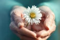 Flower plant in hands of old woman. Generate Ai Royalty Free Stock Photo