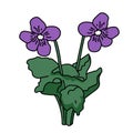 Flower on plant isolated vector