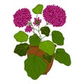 Flower plant pot icon cartoon vector. Office window plant Royalty Free Stock Photo