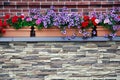 Flower planters with petunia and geranium on motley brick stone wall outside the house. Vintage