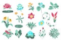 Flower and plants isolated set. Bundle of floral elements Royalty Free Stock Photo