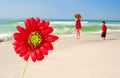 Flower by Playful Children at Beach